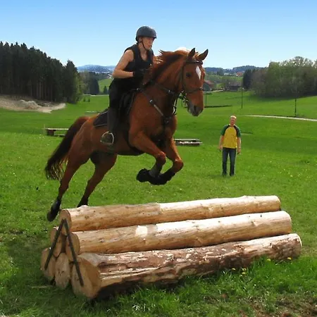 Reiterhof Stoeglehner Alojamento de Turismo Rural Rainbach im Mühlkreis
