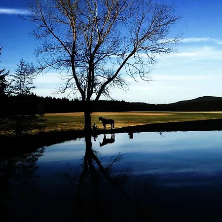 Reiterhof Stoeglehner *