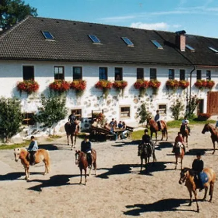 Reiterhof Stoeglehner Rainbach im Mühlkreis