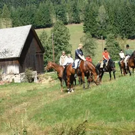 Reiterhof Stoeglehner