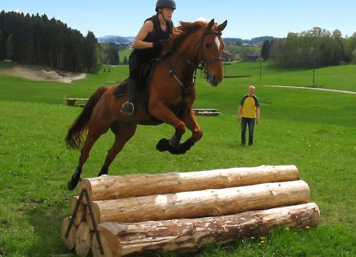 Reiterhof Stoeglehner Farm stay Rainbach im Muhlkreis