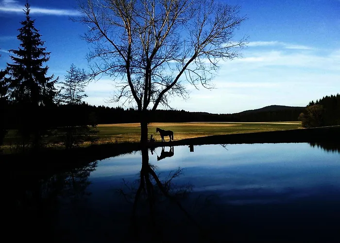 Reiterhof Stoeglehner *