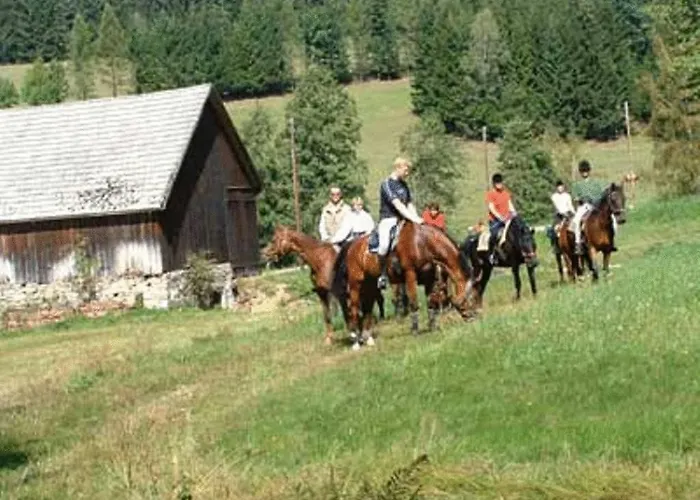 Reiterhof Stoeglehner